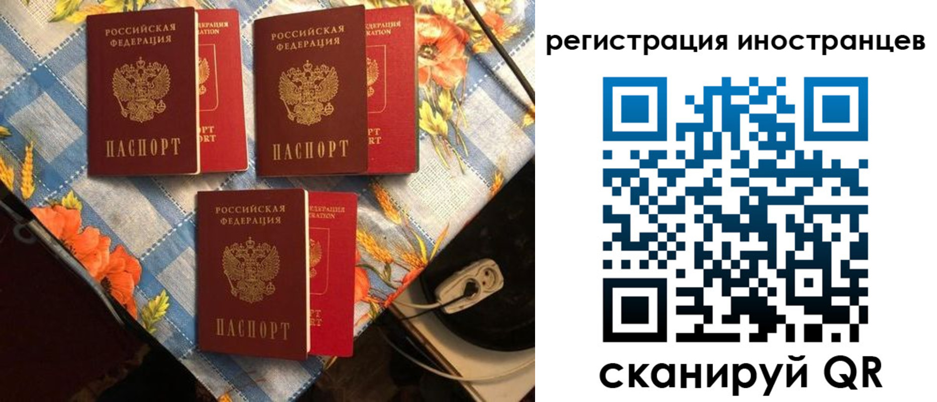 прописка поиск в Будённовске